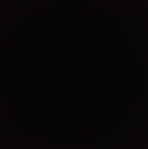 Meet your Posher, Pedro